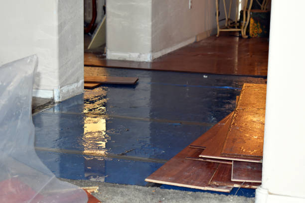 Professional Flood Cleanup technician working in Millport, AL
